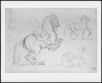 A Sketch of Three Horses: One Rearing and Two Walking