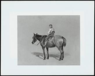 Boy On A Pony