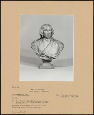Bust of John Ray