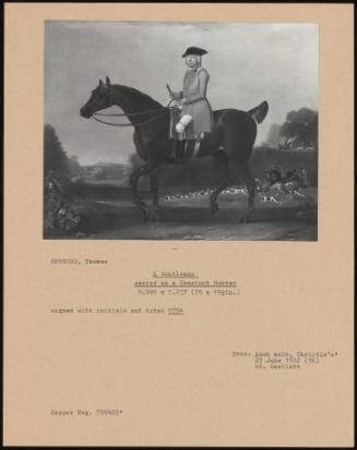 A Gentleman Seated On A Chestnut Hunter