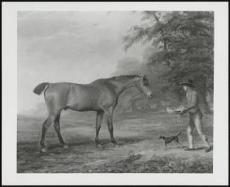 A Horse Being Fed By A Stable Lad, 1789