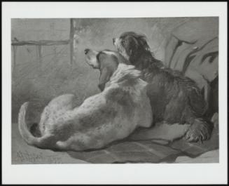 A Hound And A Bearded Collie Seated On A Hunting Coat, 1855
