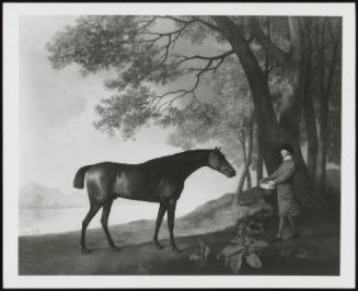 Shark With His Trainer Price, 1775 (The Racehorse Sharke With His Trainer Mr Price Standing In A Landscape)