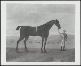 Tom Thumb, a Galloway Belonging to Mr. Leathes, Seen on a Race-Course Held by a Groom