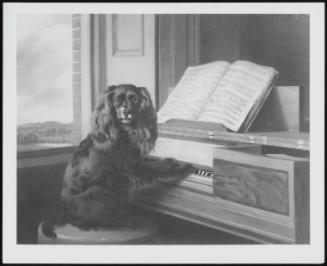 Portrait of an Extraordinary Musical Dog
