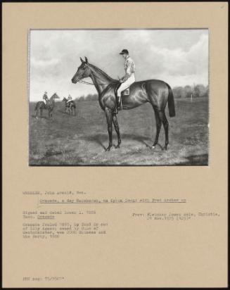 Ormonde, a Bay Racehorse, on Epsom Downs with Fred Archer Up