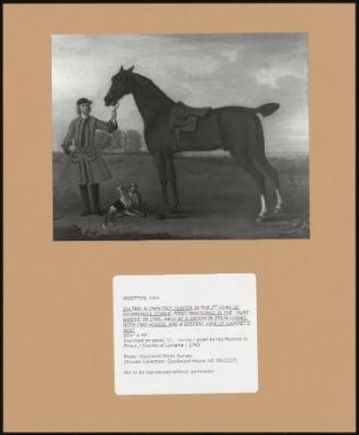 Sultan: A Chestnut Hunter In The 2nd Duke Of Richmond's Stable, First Mentioned In The 'hunt Papers' In 1740; Held By An Groom In State Livery, With Two Hounds, And A Distant View Of Cairney's Seat