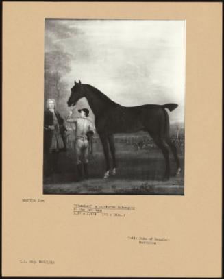 Standard" A Racehorse Belonging"