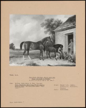 Chestnut Hunter, Pony And Two Dogs Outside A Stable