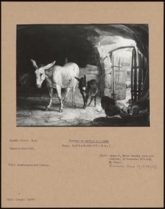 Donkeys and Poultry in a Stable