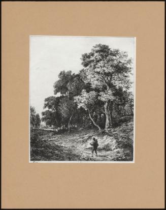 Group Of Trees With Figure In Roadway