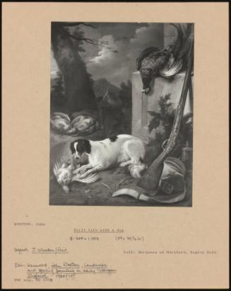 Still Life With A Dog