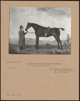 A Bay Hunter, Saddled, Held by a Groom in a Landscape