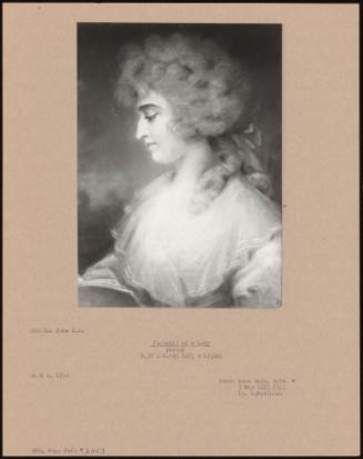 Portrait of a Lady