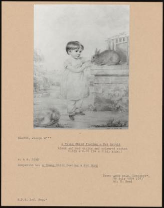 A Young Child Feeding a Pet Rabbit