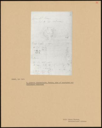 S. Lorenzo Charterhouse, Padula, Plan Of Courtyard And Elliptical Staircase