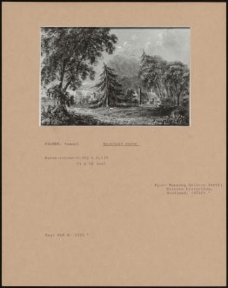 Woodland Scene