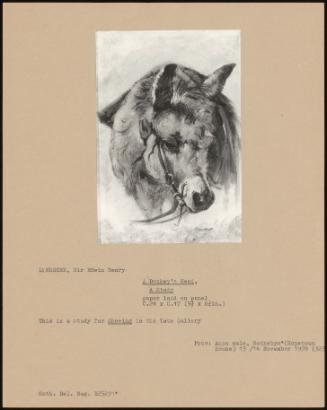 A Donkey's Head, A Study