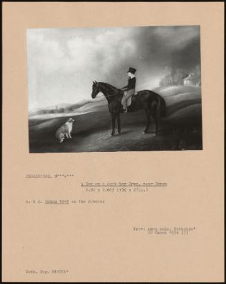 A Boy On A Dark Bay Pony, Near Oakham