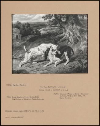 Two Dogs Fighting In A Landscape