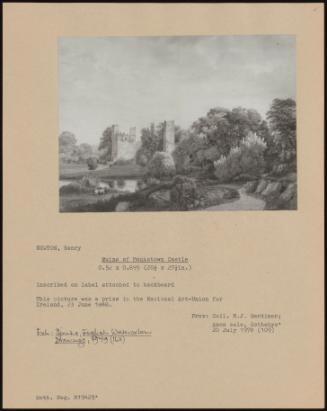 Ruins Of Monkstown Castle