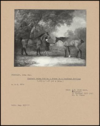 Hunters Being Fed By A Groom In A Woodland Settling