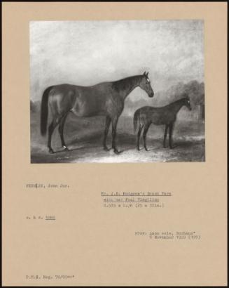 Mr. J.B. Hodgson's Brood Mare With Her Foal Virgilius