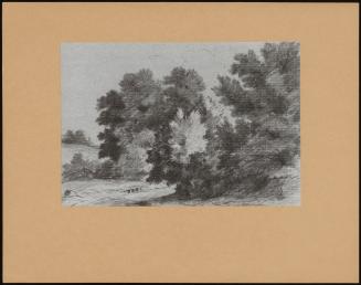 Landscape With Trees