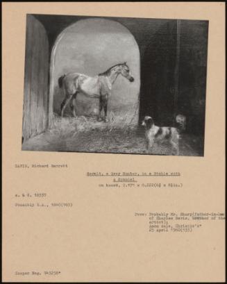 Hermit, A Grey Hunter, In A Stable With A Spaniel