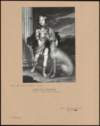 A Boy With A Greyhound