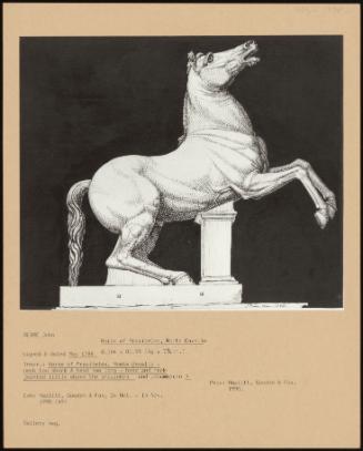 Horse Of Praxiteles, Monte Cavallo