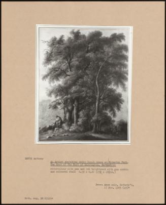 An Artist Sketching Under Beech Trees At Elvaston Park, The Seat Of The Earl Of Harrington, Derbyshire