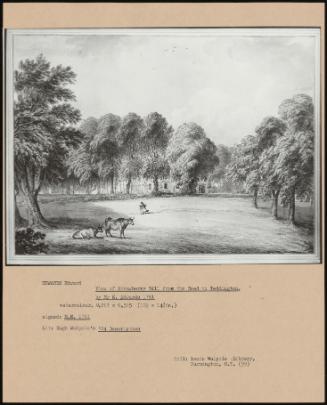 View Of Strawberry Bill From The Road To Teddington, By Mr E. Edwards 1781