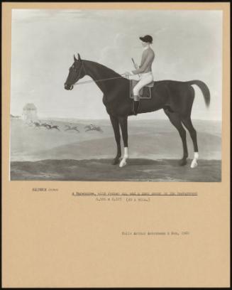 A Racehorse, With Jockey Up, And A Race Scene In The Background