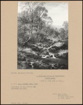 A Hillside Stream In Summertime, North Wales