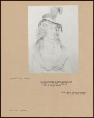 A Lady Wearing A Fine Plumed Hat