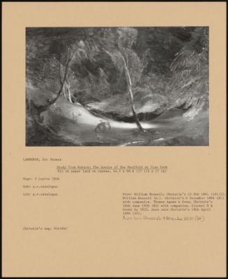 Study From Nature: The Source Of The Manifold At Ilam Park