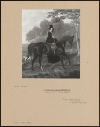 A Lady Riding Side- Saddle