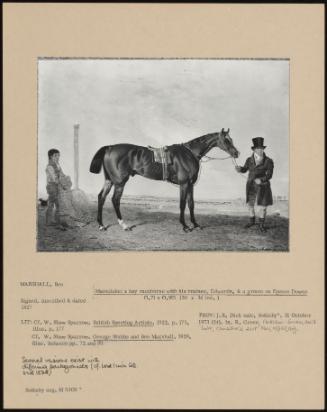 Mameluke: A Bay Racehorse With His Trainer, Edward, & A Groom On Epsom Downs