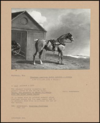 Chestnut Carriage Horse Outside A Stable