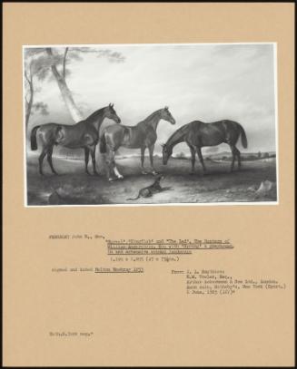 Marvel' 'Kingfish' And The Lad', The Hunters Of William Angerstein, Esq With 'Spring' A Greyhound, In And Extensive Wooded Landscape