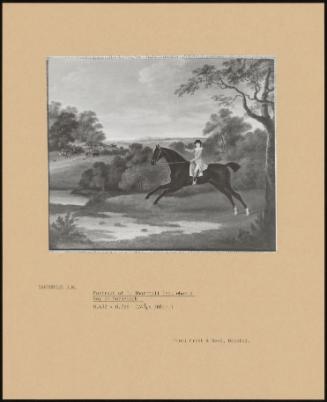 Portrait of T. Thornhill Esq. when a Boy on Horseback