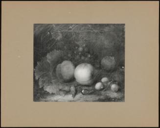 A Still Life with Fruit