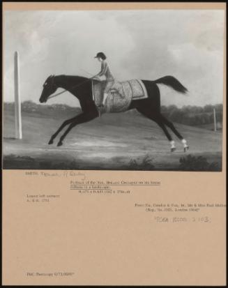 Portrait of the Hon. Borlase Cockayne on His Horse Sultana in a Landscape