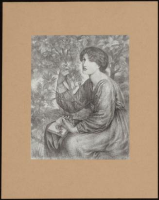 Study For The Day Dream: Jane Morris Seated In A Sycamore Tree