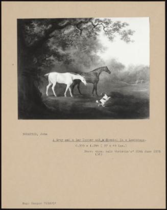 A Grey And A Bay Hunter And A Spaniel In A Landscape.