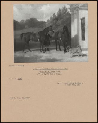 A Groom With Two Horses And A Dog