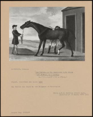 Bay Malton, a Bay Racehorse with Groom and Jockey, by a Stable