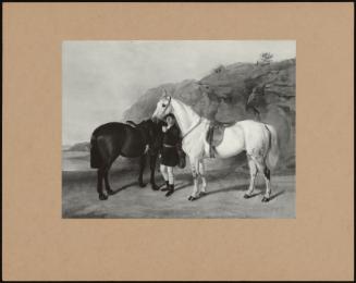 A Groom With Two Horses Belonging To R. Christie Of Falwood Pk, Lands.