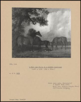 A Mare And Foals In A Wooded Landscape